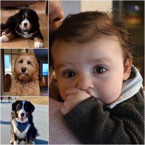 Meet your Posher, Sandra